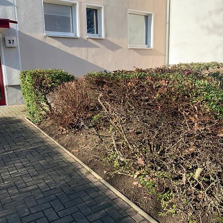 Mycha Ferienwohnung Goslar Eksteriør billede